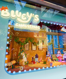 Myer Have Unveiled Their 2023 Christmas Windows And They're Wackadoo!