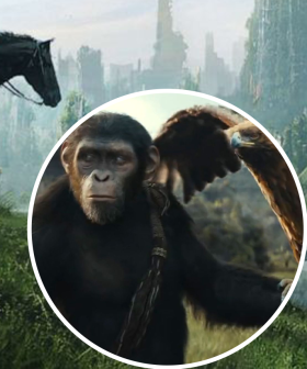 The First Trailer For 'Kingdom of the Planet of the Apes' Has Been Released!