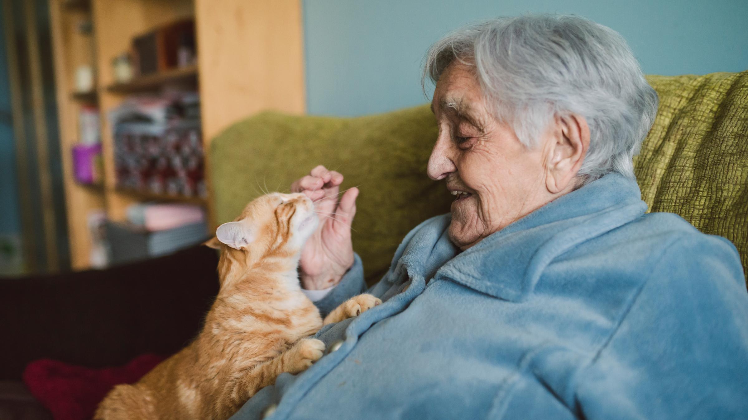 Owning Pets Helps Stave Off Dementia