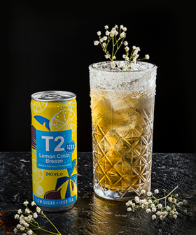 T2 Iced Tea Summer Mixers Are Here!