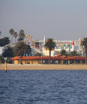 Palm Trees Along Iconic Melbourne Foreshore Go Up In Flames