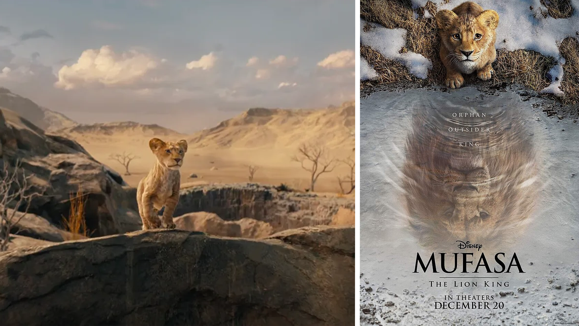 'Mufasa: The Lion King' Prequel Unveils First Trailer and Star-Studded ...