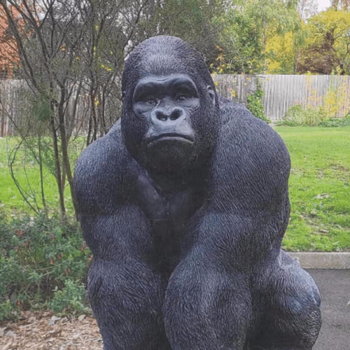 Garry The Gorilla Returns Home!