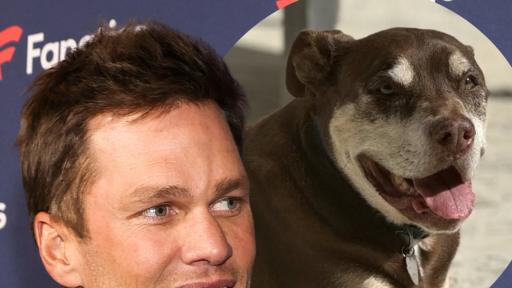 Tom Brady Reveals His Dog Junie Is A Genetic Clone Of His Late Dog That Died In 2023