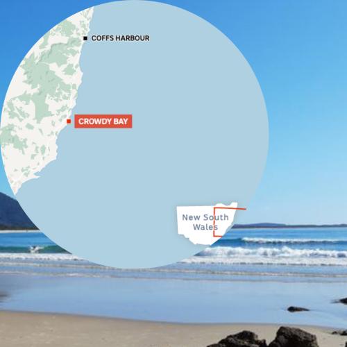 Woman Killed And Man Critically Injured In Shark Attack On NSW Mid North Coast