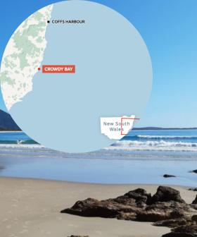 Woman Killed And Man Critically Injured In Shark Attack On NSW Mid North Coast