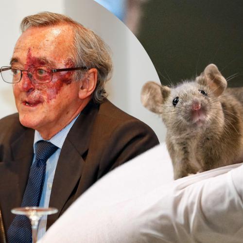 Good News: Spanish Scientist Achieves Breakthrough In Pancreatic Cancer Research